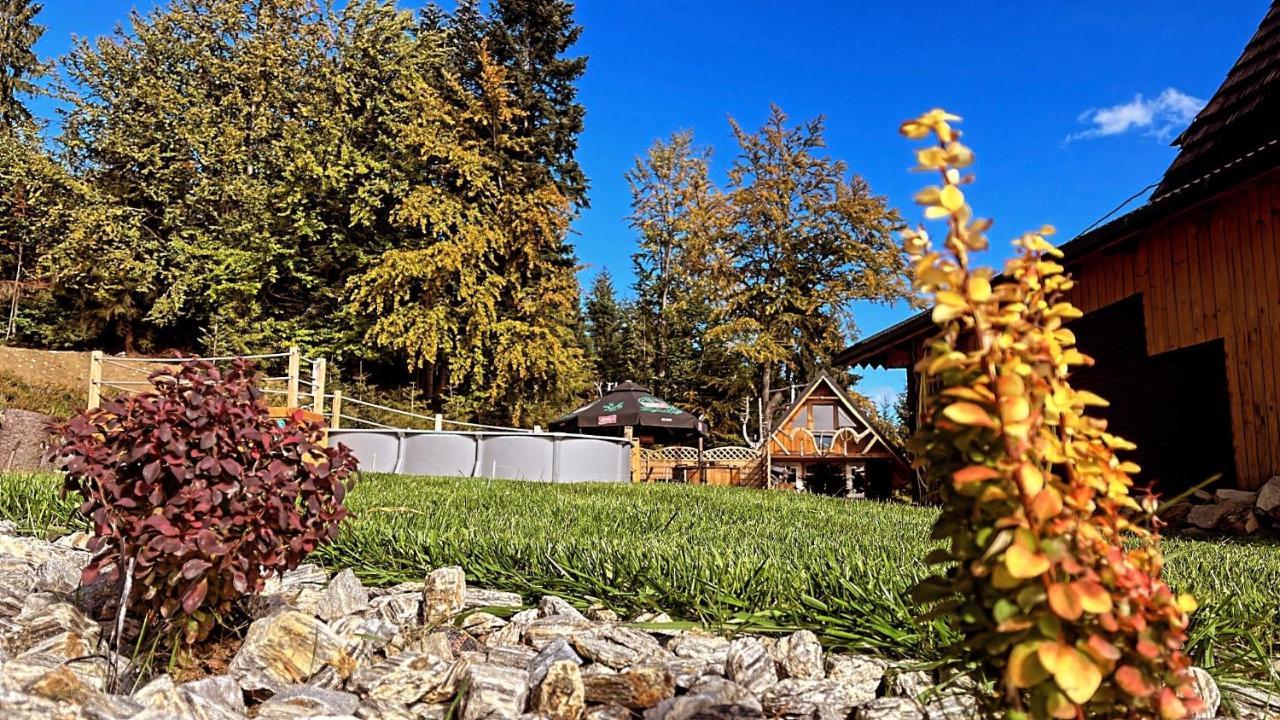 Domek W Gorach- Bacowka U Dudka Nowy Targ Bagian luar foto