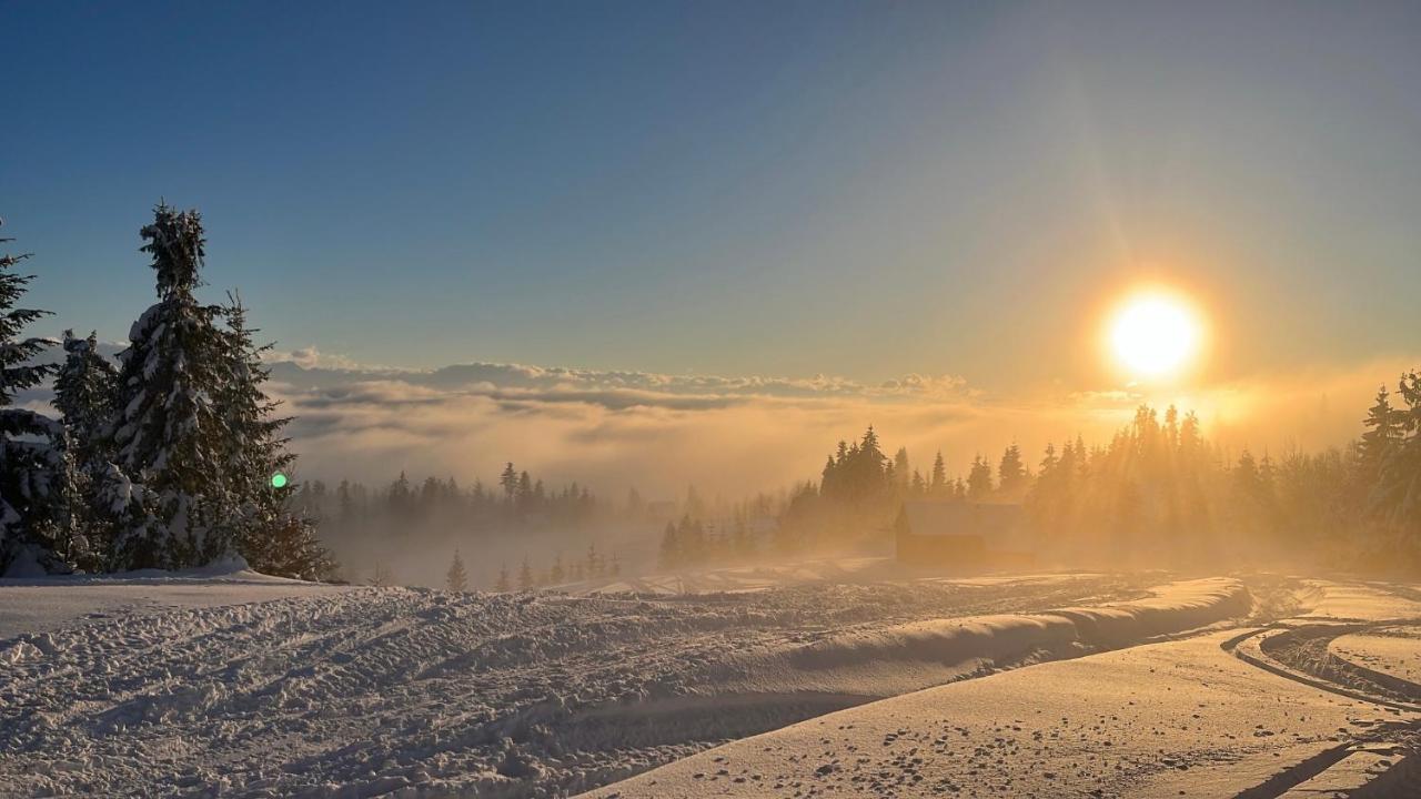 Domek W Gorach- Bacowka U Dudka Nowy Targ Bagian luar foto