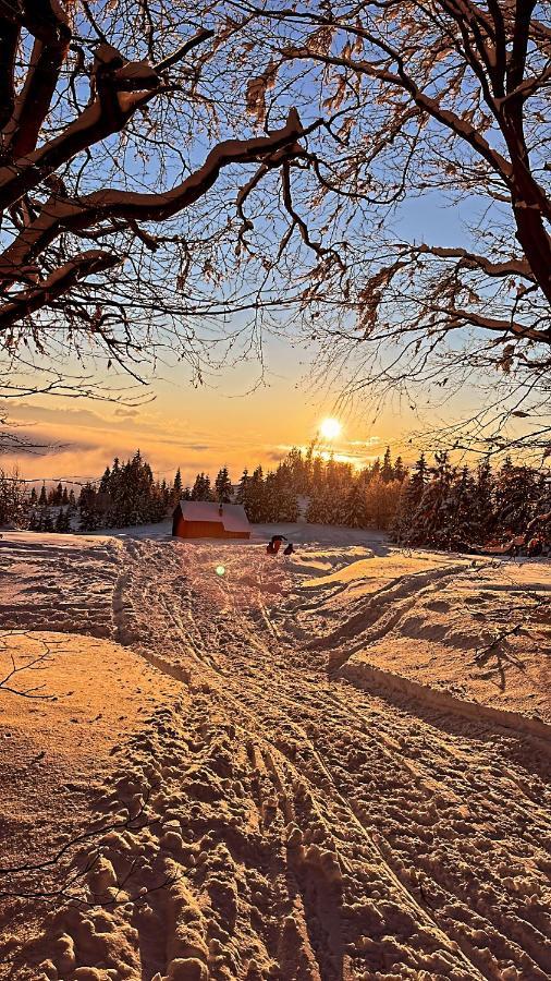 Domek W Gorach- Bacowka U Dudka Nowy Targ Bagian luar foto